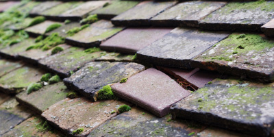 Etchingham roof repair costs